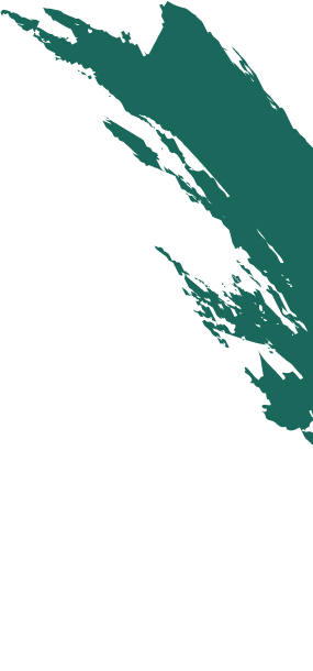 Cidade Desentupimento