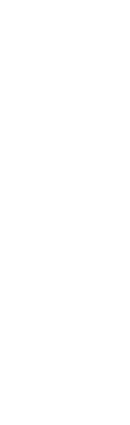 Cidade Desentupimento